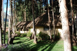 Ayahuasca Wasi temple