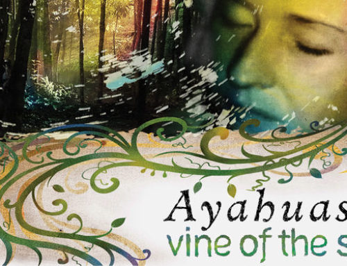 Ayahuasca Vine of the Soul Documentary